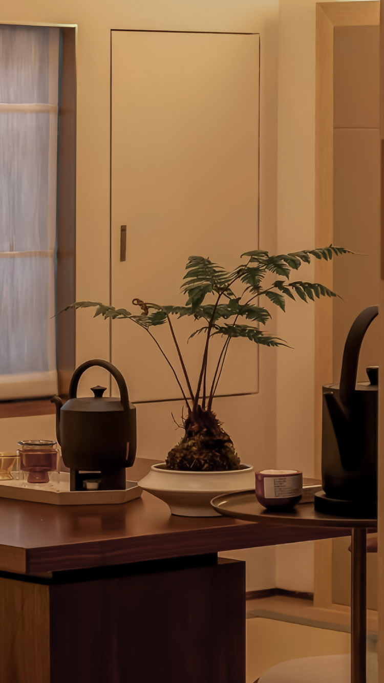 Artist Premier Suite